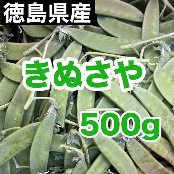 徳島県産 きぬさや 100g入り5パックセット ネコポス 送料無料