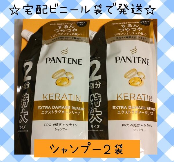 【SP2袋】パンテーン エクストラダメージリペア シャンプー 詰め替え 600ml×2個 特大サイズ 緩衝材なし