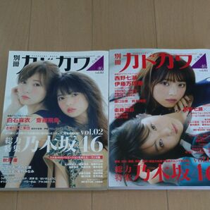 別冊カドカワ総力特集乃木坂46 vol.02 3