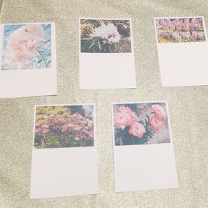 花の写真のはがき5枚セット