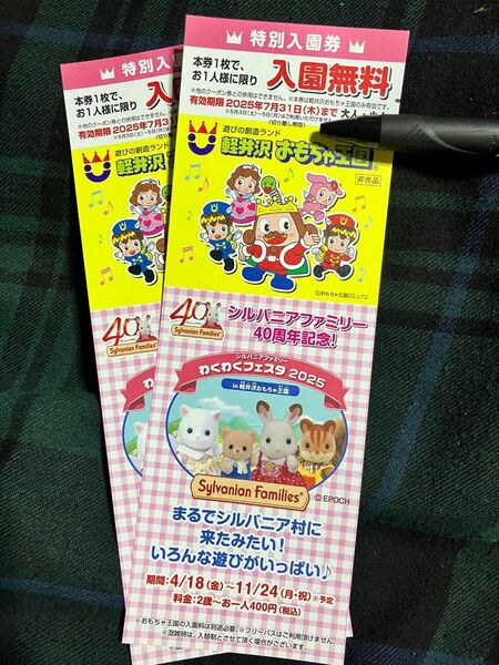 軽井沢おもちゃ王国 特別入園券 2枚セット