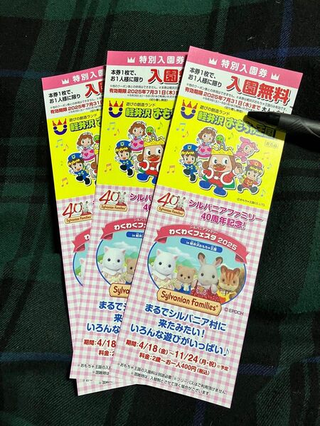 軽井沢おもちゃ王国 特別入園券 3枚セット