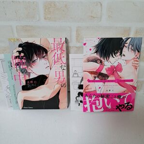 北野仁最低な男の腕の中かわいがるならシてもいい商業BLボーイズラブ初版