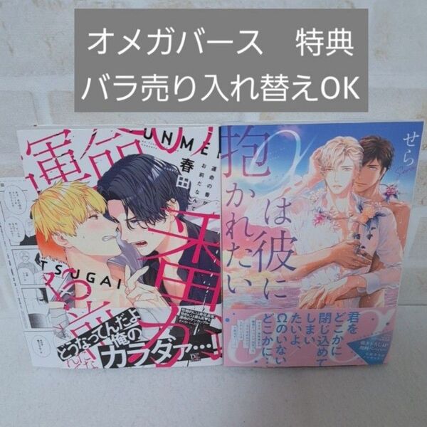春田運命の番がお前だなんてせらαは彼に抱かれたい商業BLコミックボーイズラブ漫画