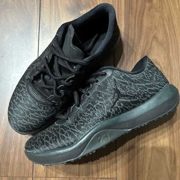 未使用 NIKE Air Jordan Trainer 1 Low 24cm