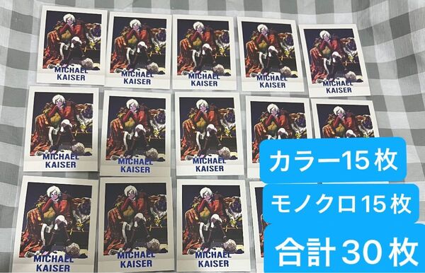 ブルーロック ブルーロック展 ブルロ展 ぱしゃこれPREMIUM ミヒャエル・カイザー 30枚セット