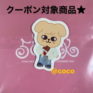 Straykids ソウルコン スキズ ペンミ ステッカー stayzone パピーム スンミン パピーエム ステイゾーン