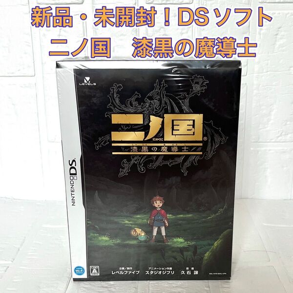 【新品・未開封】DSソフト 二ノ国 漆黒の魔導士 マジックマスター同梱版