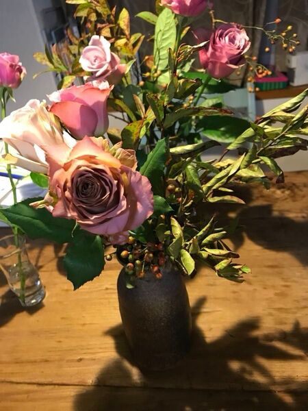 薔薇の苗 挿し木 お任せ 4つ