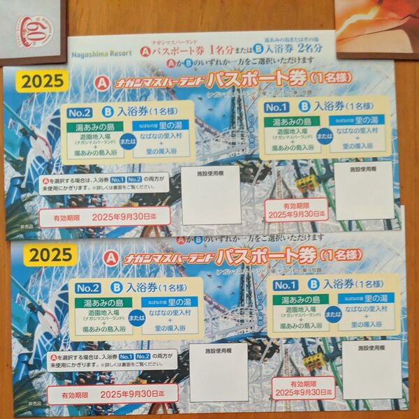 ナガシマスパーランド パスポート券2枚