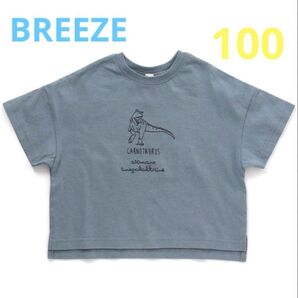 新品 ブリーズ 恐竜刺繍Tシャツ 半袖 100 カットソー
