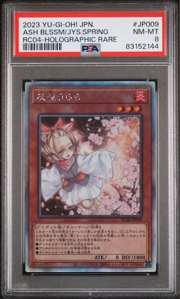 【PSA8】 灰流うらら ホログラフィックレア 遊戯王 PSA鑑定