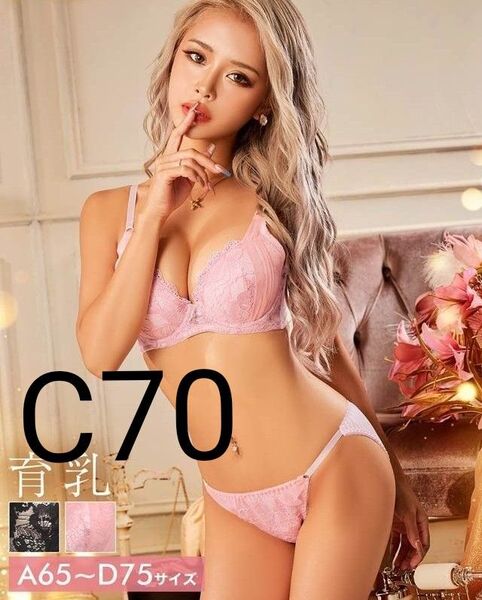 C70 贅沢総レース育乳脇高ブラジャー&フルバックショーツ 可愛い エロカワ かとみか 盛りブラ