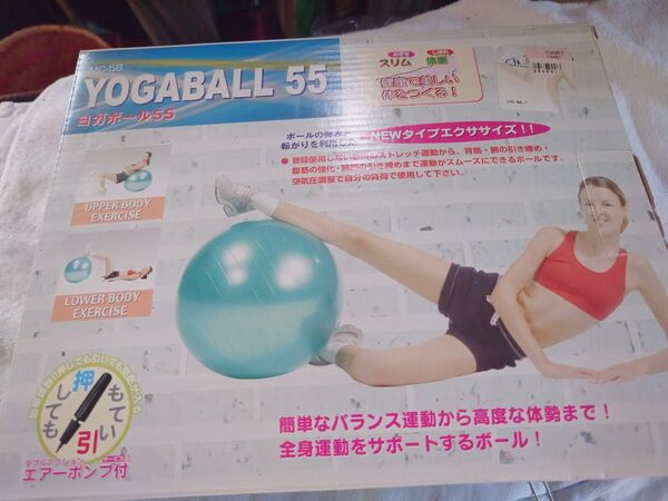 YOGABALL 55 バランスボール 55cm
