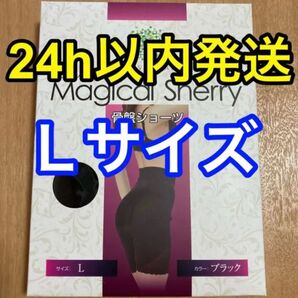 マジカルシェリー 骨盤ショーツ Lサイズ 正規品