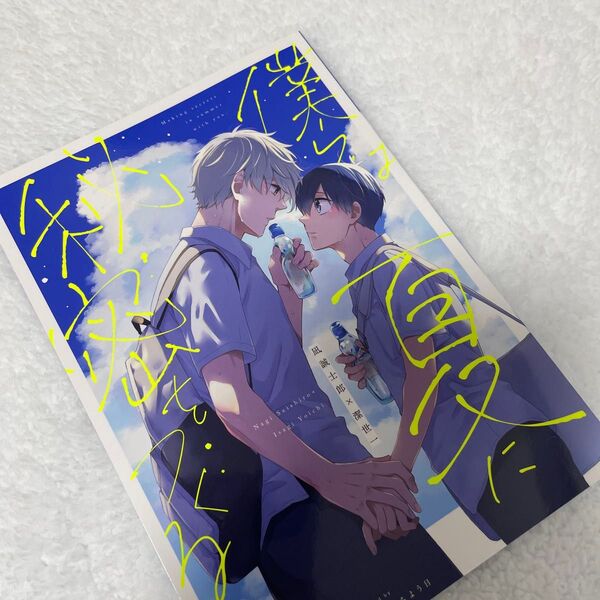 ブルーロック 同人誌 凪潔 僕らは夏に秘密をつくる