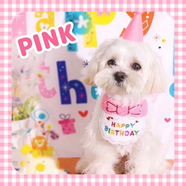 ペット スタイ 誕生日 2点セット バースデー 犬 猫 ピンク