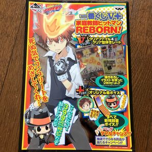 【未使用】REBORN!一番くじA4クリアファイル