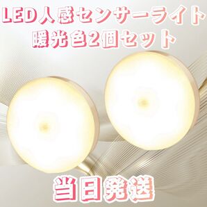 人感センサーライト 暖光色 2個セット LED人感センサーライト LEDライト センサーライトライト 電球色 LED 自動点灯