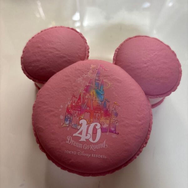 ディズニーランド 40周年 スーベニア マカロン ケース