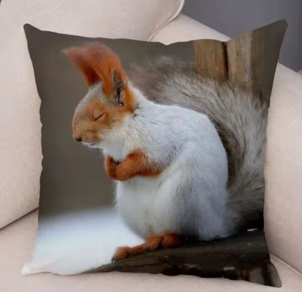 リス お昼寝 居眠り クッションカバー 45×45cm 可愛い 動物プリント 癒し柄 インテリア