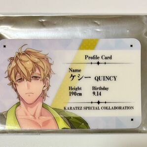 NU:カーニバル×カラオケの鉄人 トレーディングプロフィールカード ケシー カラ鉄 ぬカニ