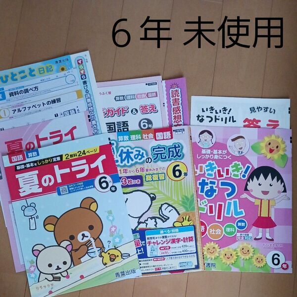 6年生 小六 夏休み 1学期 国語 算数 理科 社会 英語 問題集 ドリル 先取り 予習 復習 まとめ売り セット