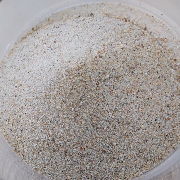 沖縄の砂 100g 砂