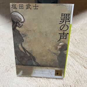 罪の岸 鹽田武士 講談社
