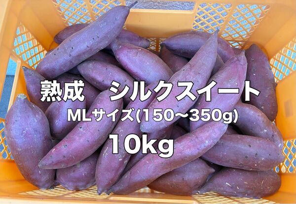 熟成シルクスイート 10kg(箱込) ML(約150g~350g)