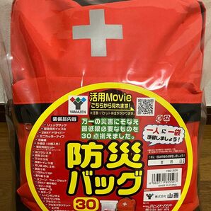 山善 防災バッグ30点セット YBG-30R 未使用