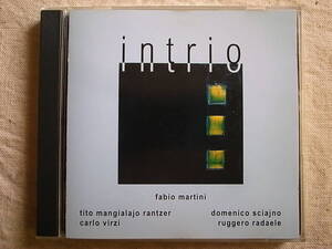 レア超マイナーTALK盤◎伊インプロINCUS的ハイクオリティー・FABIO MARTINI・T.M.RANTZER