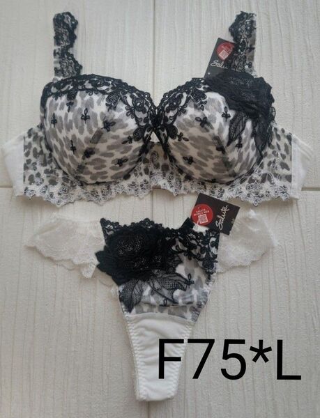 サルート 旧03グループ F75*L