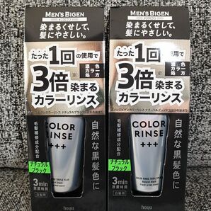 カラーリンス メンズビゲン トリプルプラス(+++) ナチュラルブラック 120g×2本