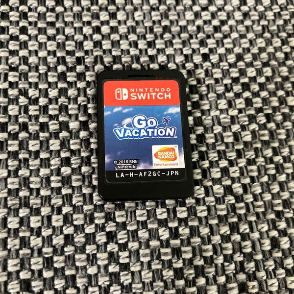 Go Vacation Nintendo Switch ソフト ケースなし