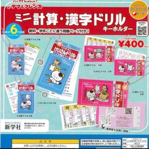 タマ 漢字ドリルキーホルダー ミニ計算 フレンズ セット フレンズミニ計算 算数 フルセット ガチャ コンプ