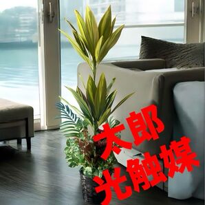 光触媒 人工観葉植物 ウォールグリーン フェイクグリーン マッサンアレンジr15