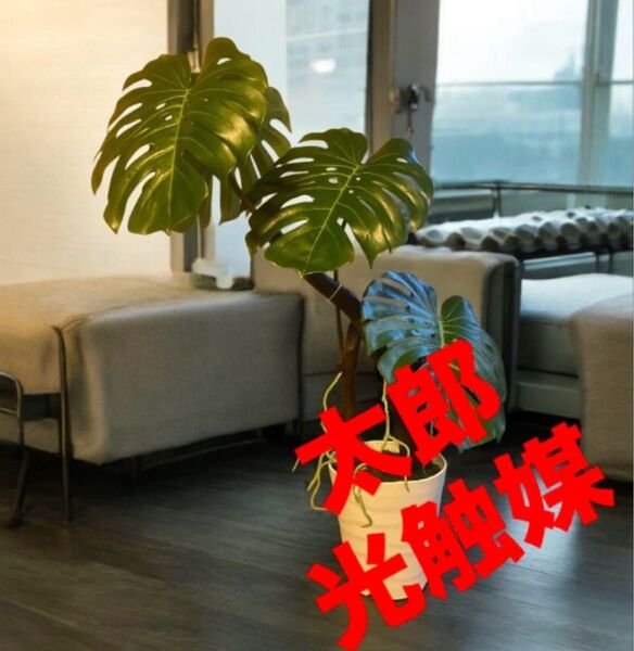 光触媒 人工観葉植物 ウォールグリーン フェイクグリーン モンステラ9575