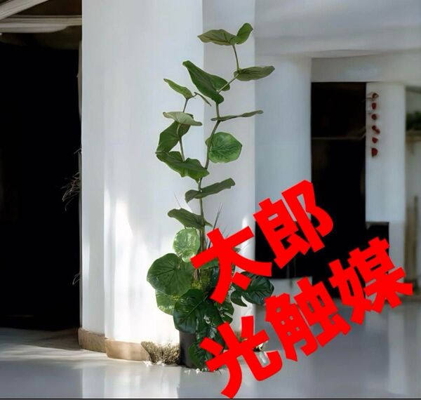 光触媒 人工観葉植物 ウォールグリーン フェイク グリーン フラワー シーグレープモンステラ