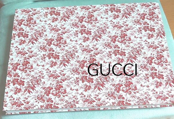 GUCCI グッチレア 2015カタログ