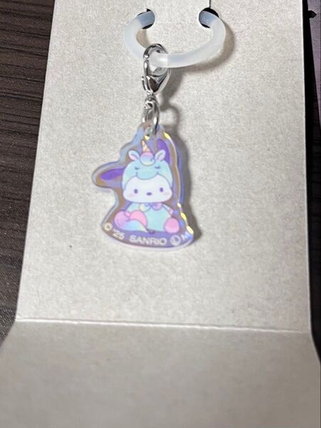 ポチャッコ/サンリオキャラクターズ アクリルチャーム クリーム in スナック Pochacco サンリオ オーロラカラー