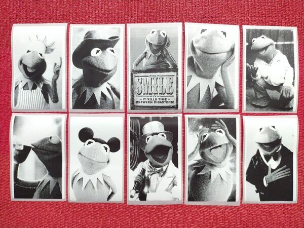 KERMIT 全長8cm防水加工シール 10枚