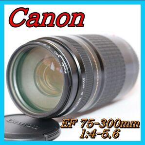 望遠レンズ 一眼レフ Canon EF 75-300mm F4-5.6 キヤノン