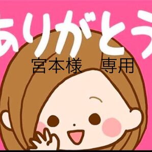 【宮本様 専用】お菓子 和菓子 苺&チョコヴァッフェル 食べ比べ