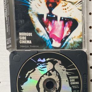 【新品入手・廃盤】モルグ・サイド・シネマ 『Domestic Predator』
