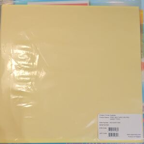 ダヴィンチ Proシリーズ専用プラットフォームテープ10枚入り2セット RS1AWXY104C #601