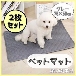ペットマット 70×50 グレー 2枚組