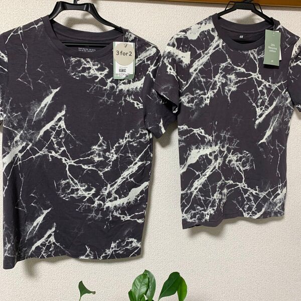 新品未使用 タグつき H&M 子供服 Tシャツ だいたい柄 2枚セット