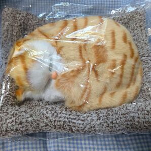 sleeping cats スヤスヤおねむりねこちゃん ちゃとら