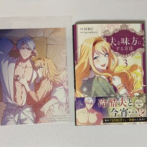 【新品未開封、ステラワース特典付き】夫を味方にする方法 3巻